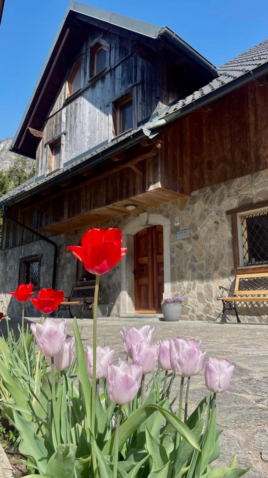 4 Elements Resort Bled بوهينيسكا بيلا المظهر الخارجي الصورة